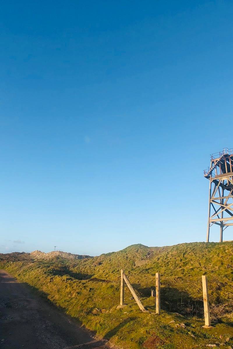 Crown Mines