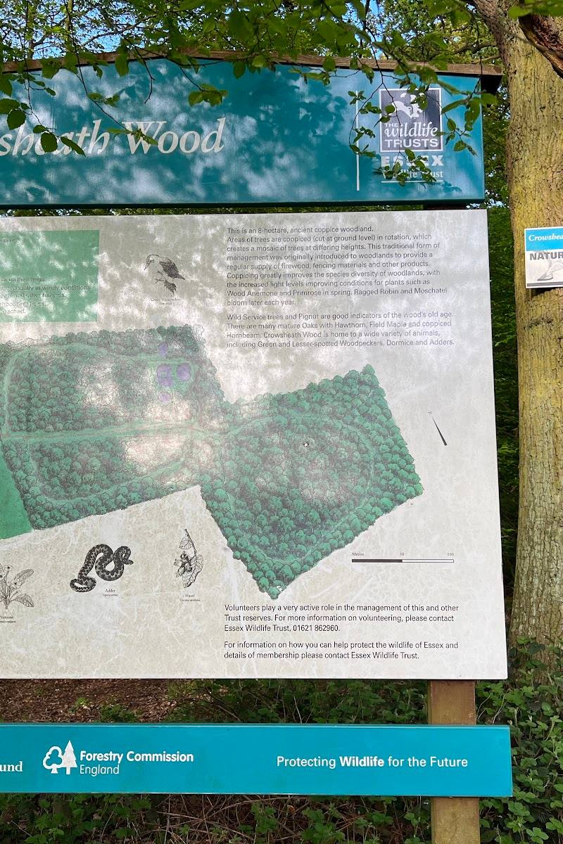 Crowsheath Wood Nature Reserve