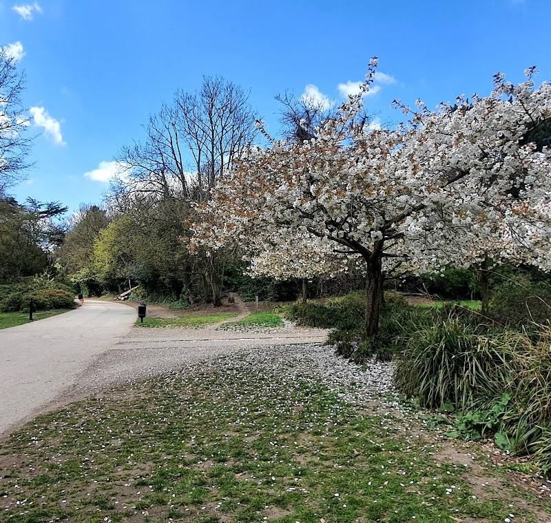 Crystal Palace Park