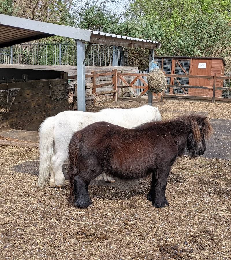 Crystal Palace Park Farm — Place photograph (2 of 3)