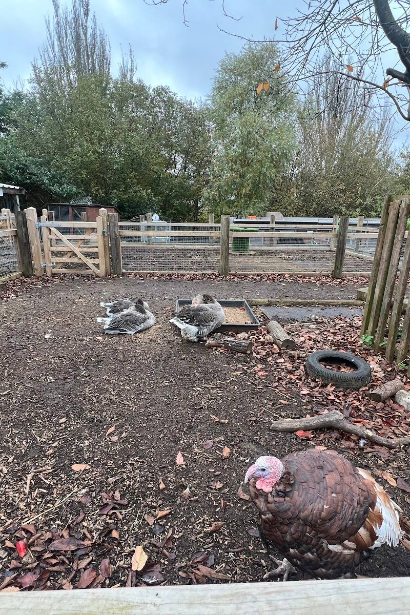 Crystal Palace Park Farm — Place photograph (3 of 3)