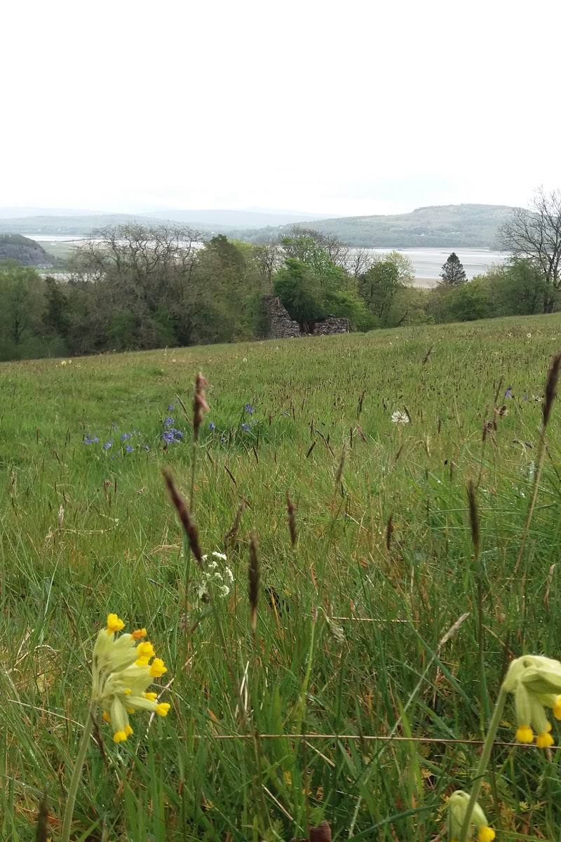 Cumbria Wildlife Trust Head Office and Wildlife Garden — Place photograph (2 of 3)