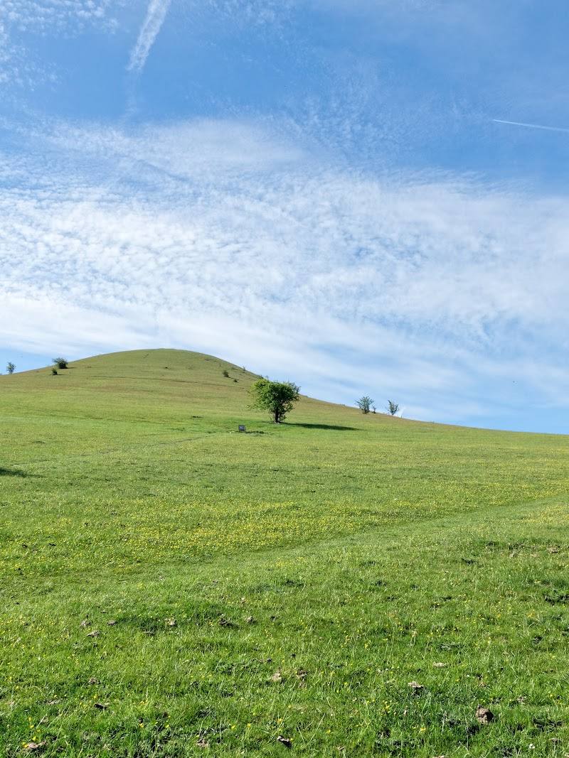 Cymbeline’s Castle Motte and Bailey — Place photograph