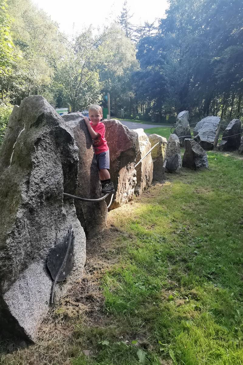 Dalbeattie Forest Town Wood
