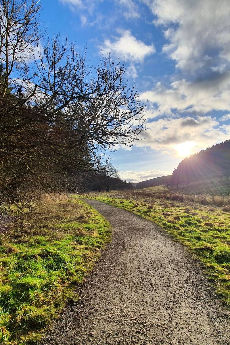 Dalby Forest