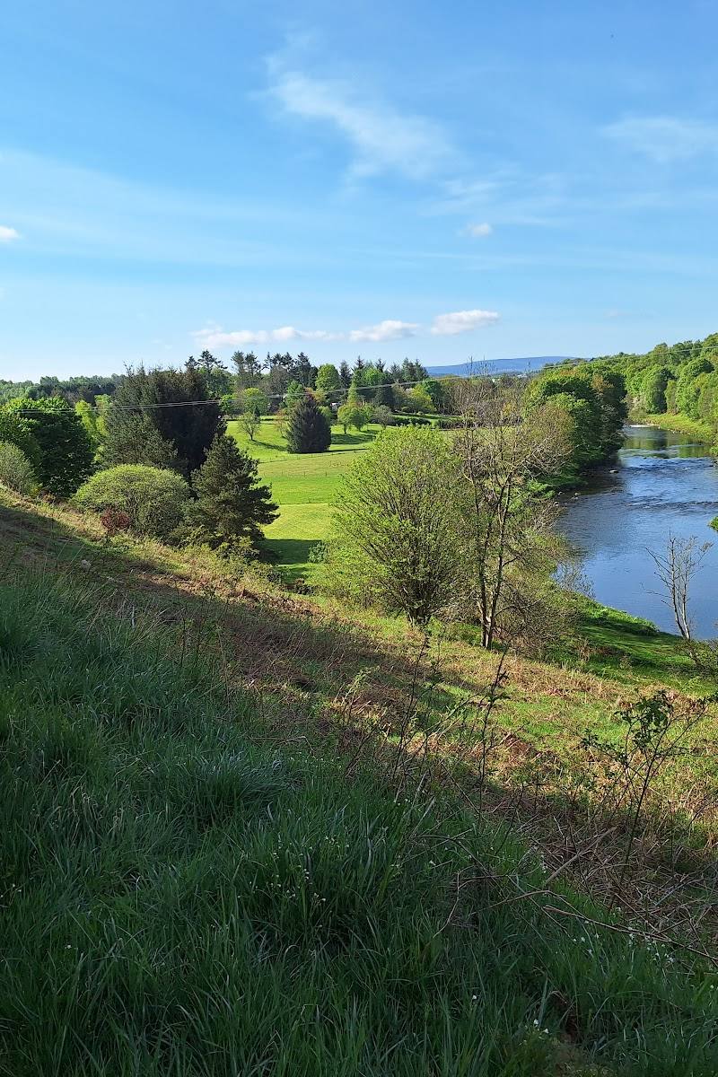 Dalmadilly Ponds — Place photograph (3 of 3)