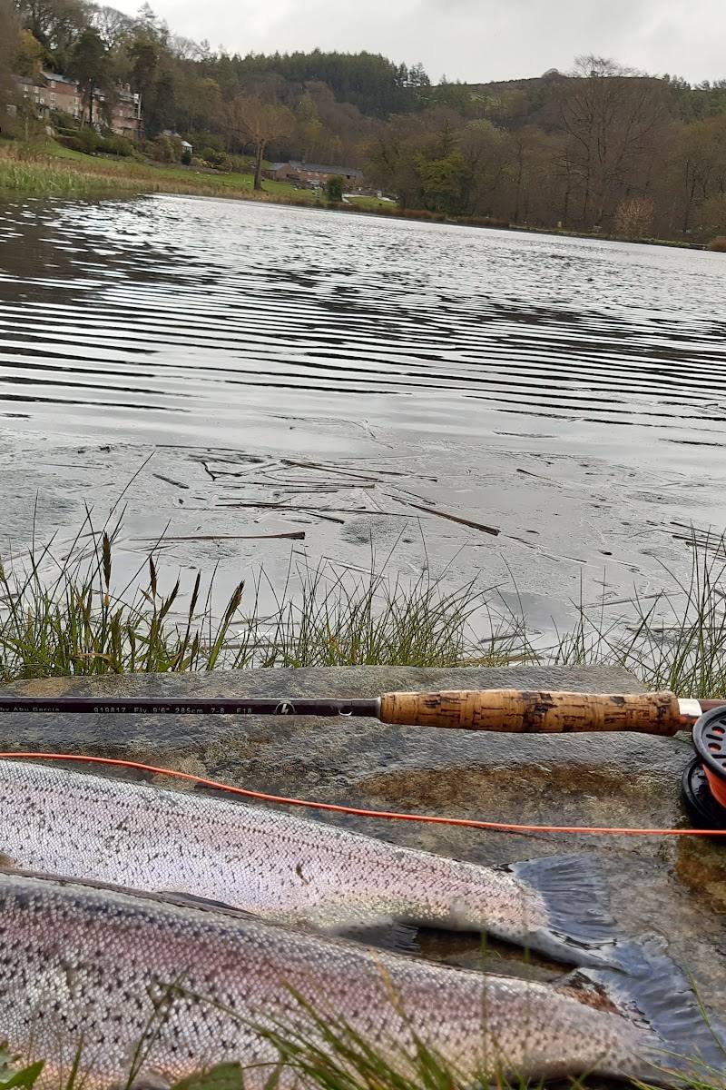 Danebridge Fisheries
