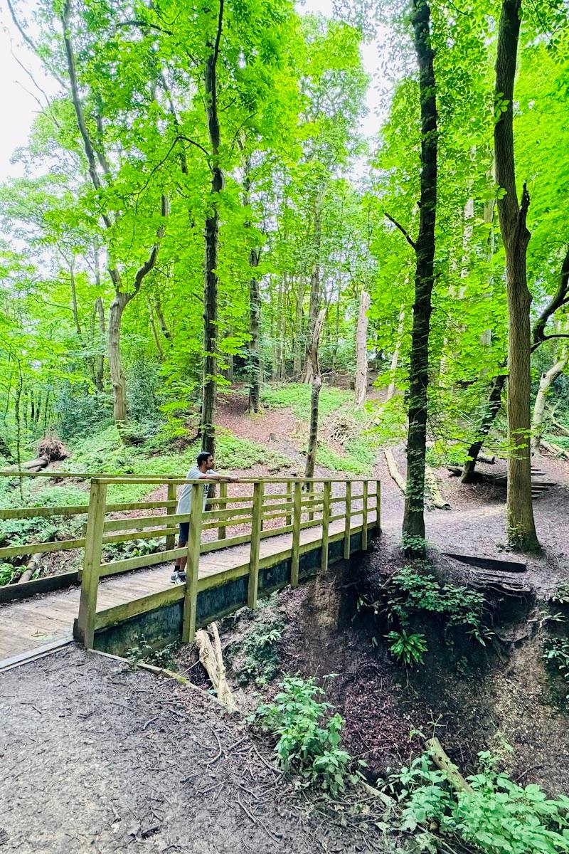 Danes Dyke Nature Reserve — Place photograph