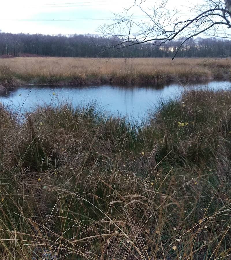 Danes Moss Nature Reserve — Place photograph