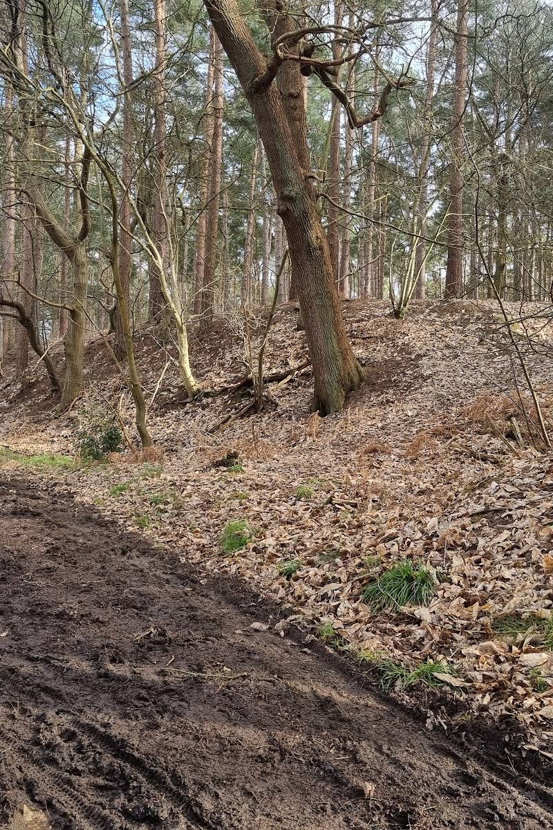 Danesborough Camp — Place photograph