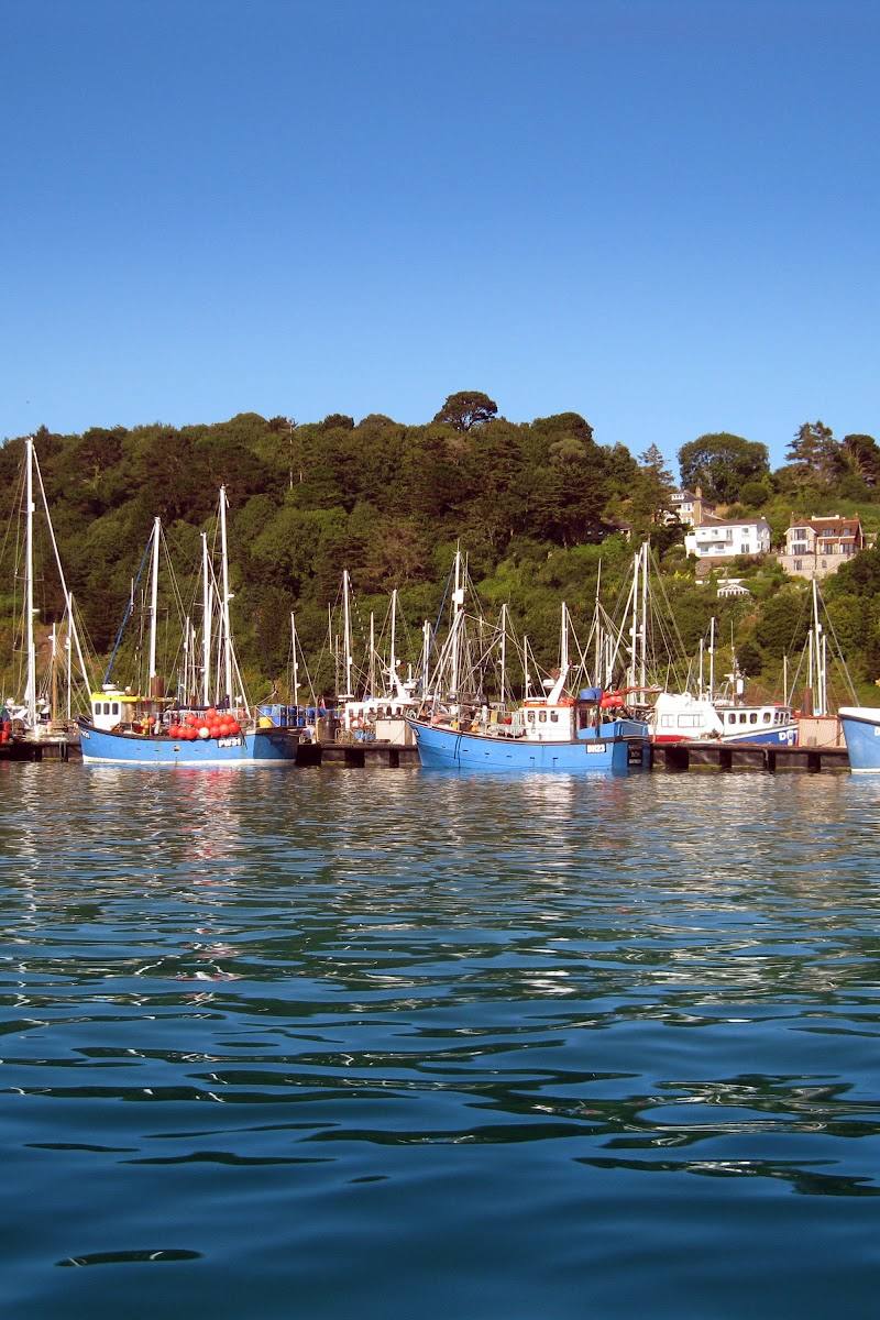 Dartmouth Harbour — Place photograph (2 of 3)