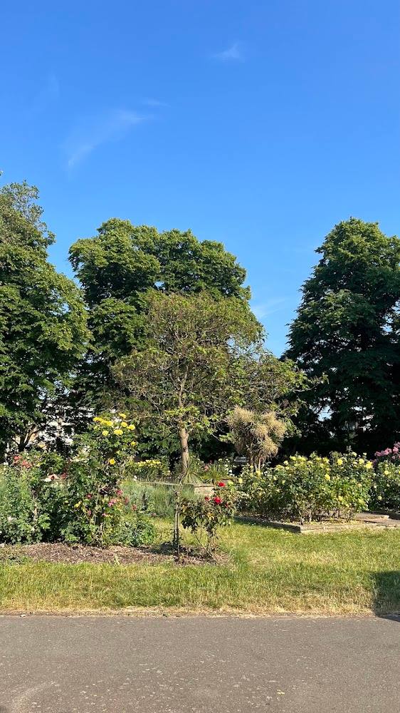 De Beauvoir Square Garden — Source image