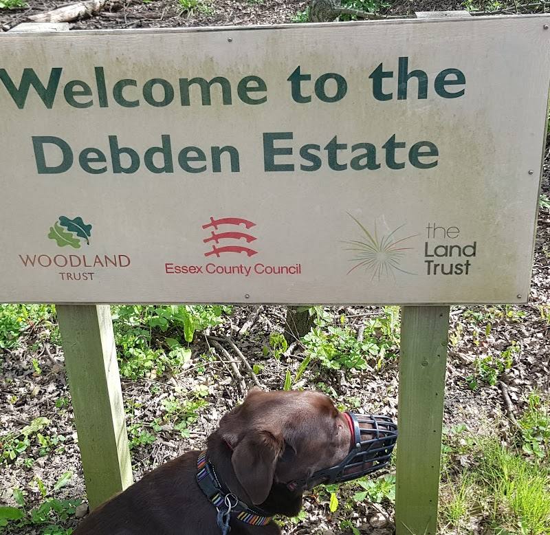 Debden Woodland — Source image