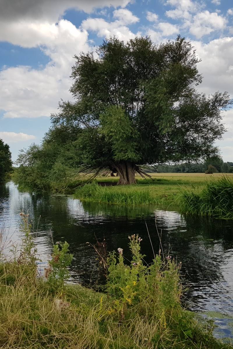 Dedham Vale National Landscape
