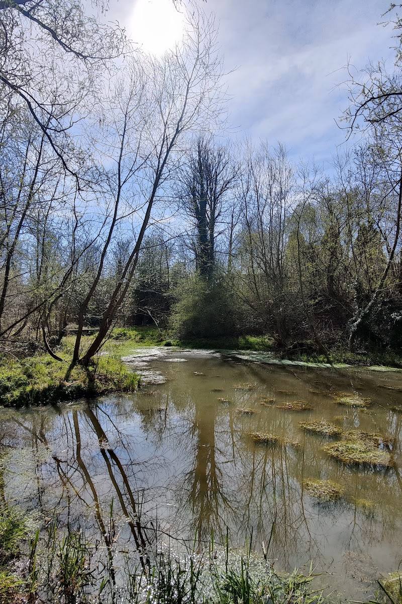 Deer's Leap Wood Nature Reserve — Place photograph