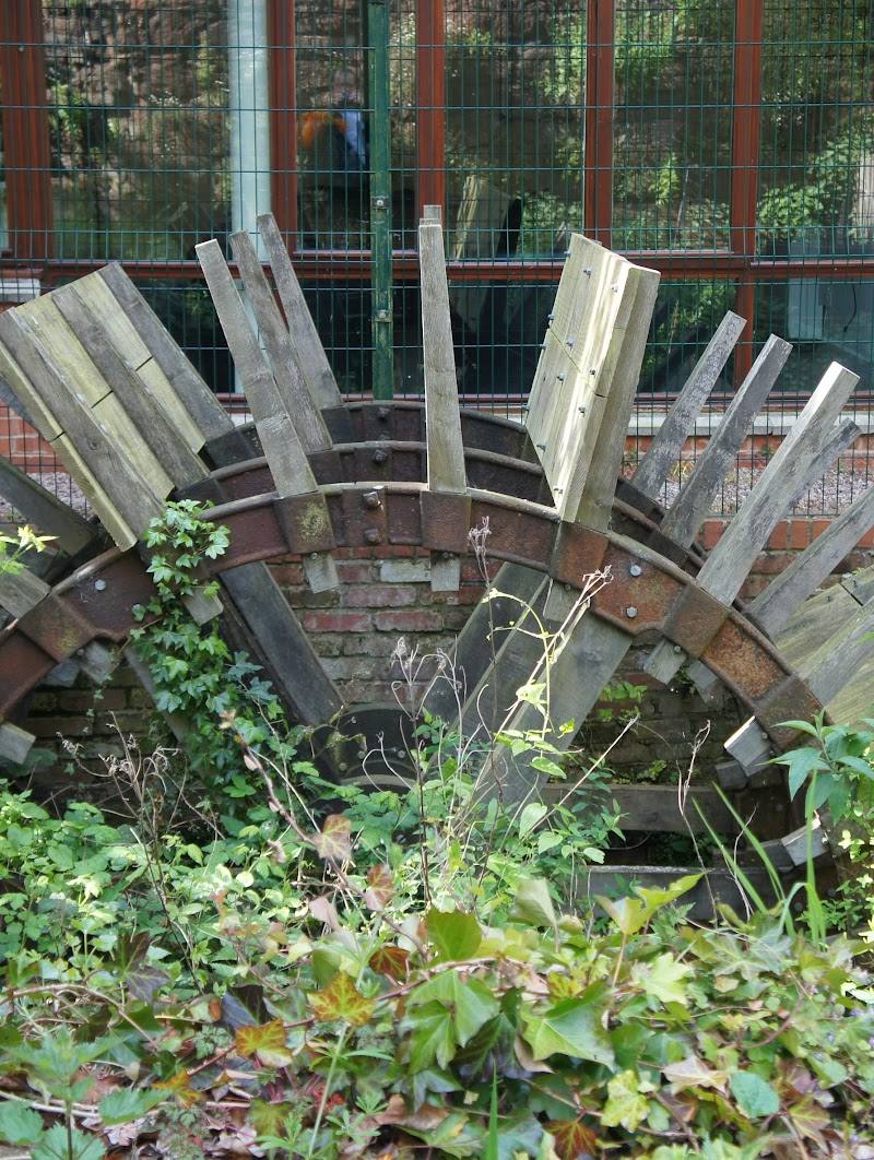 Devon Wildlife Trust — Place photograph (3 of 3)