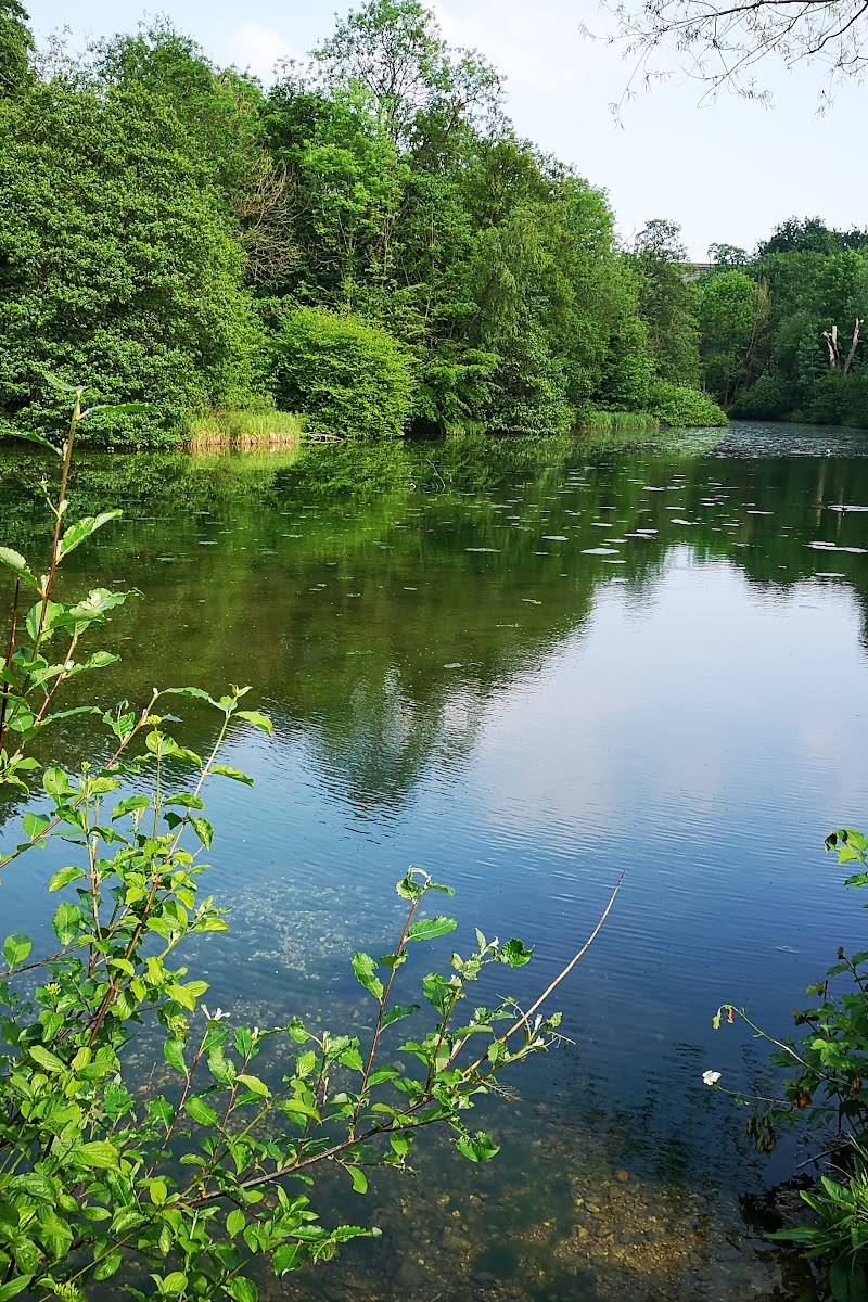 Digswell Lake — Place photograph (1 of 2)