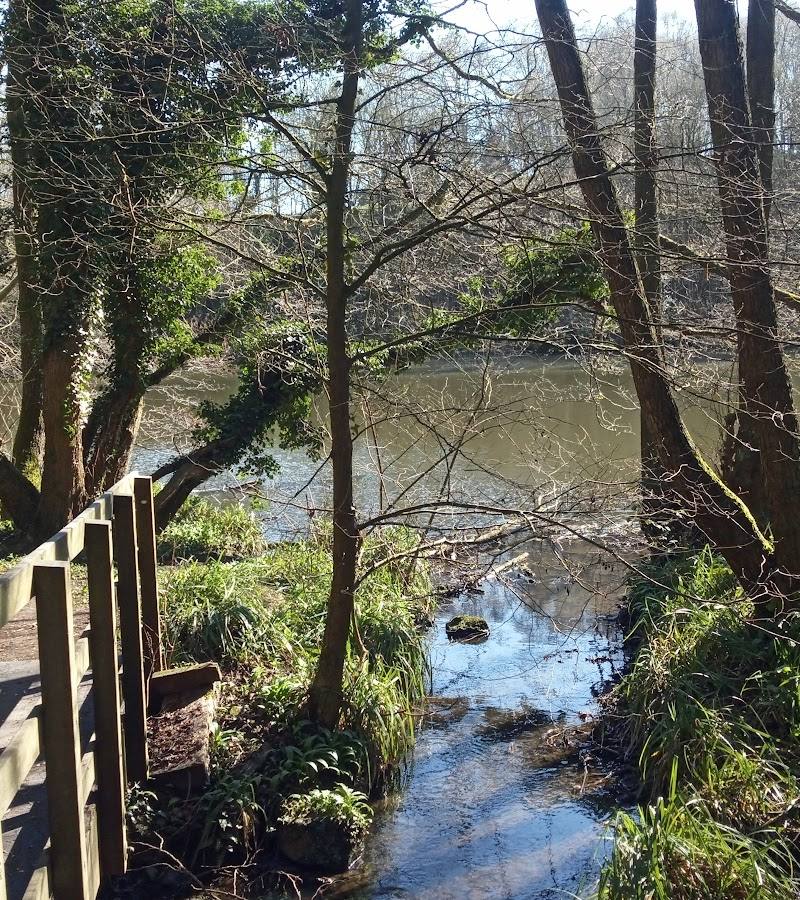Dimminsdale Nature Reserve — Source image