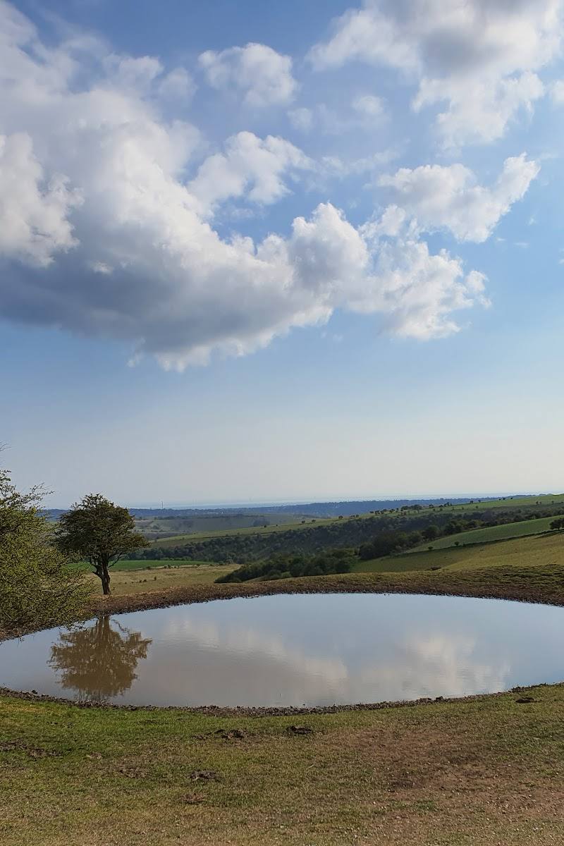 Ditchling Beacon