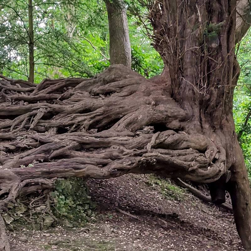 Dollypers Hill Nature Reserve