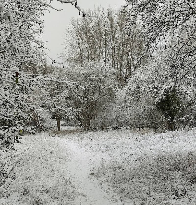 Dollypers Hill Nature Reserve