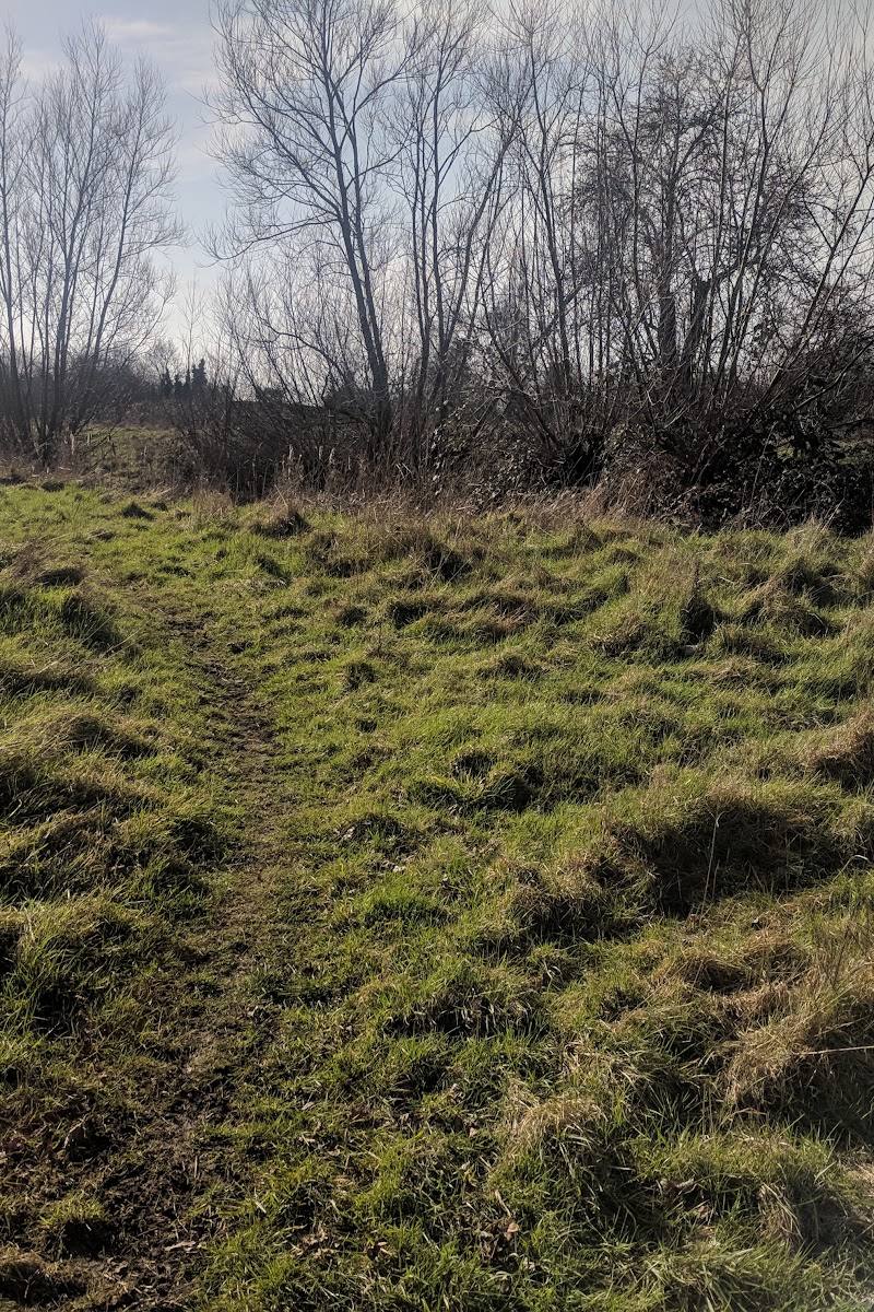 Down Barns Moated Site — Place photograph (2 of 3)