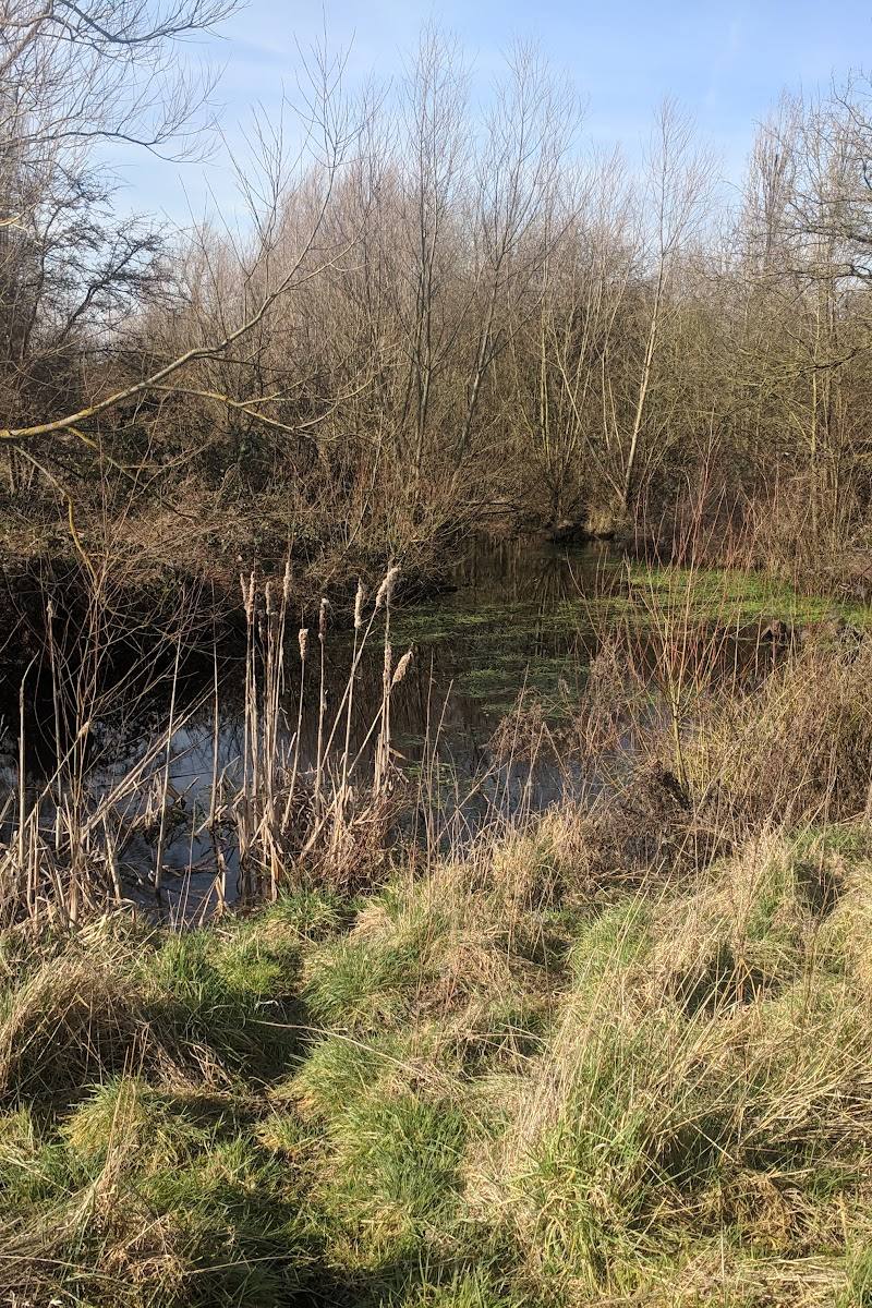 Down Barns Moated Site — Place photograph (1 of 3)