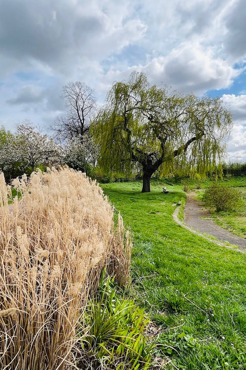 Dukes Meadows Park — Place photograph
