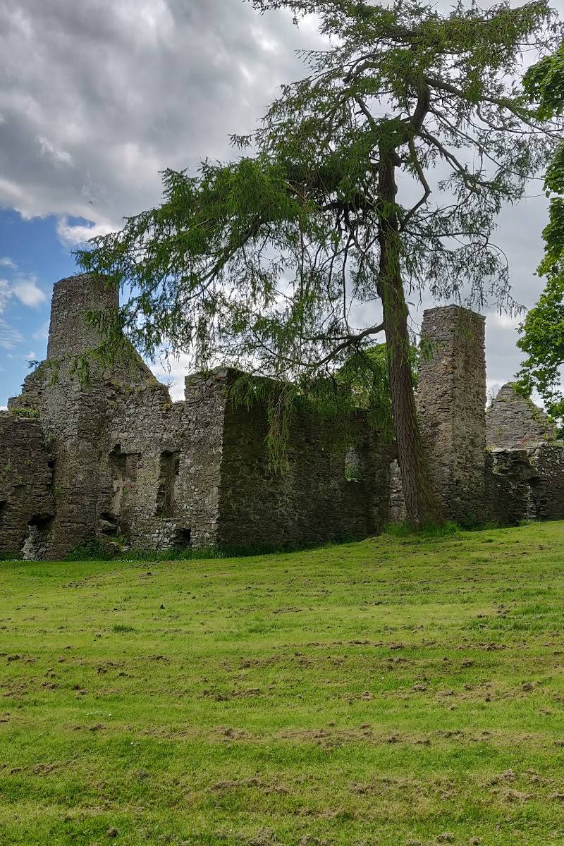 Dundrum Castle — Place photograph (2 of 3)