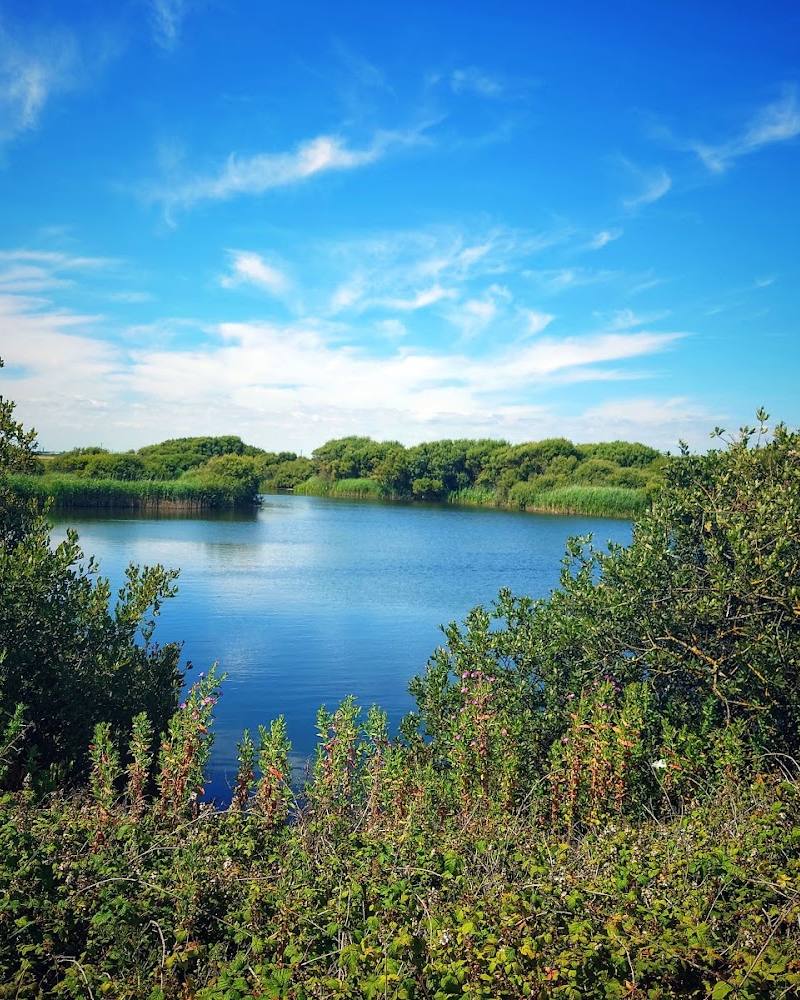 Dungeness National Nature Reserve — Source image
