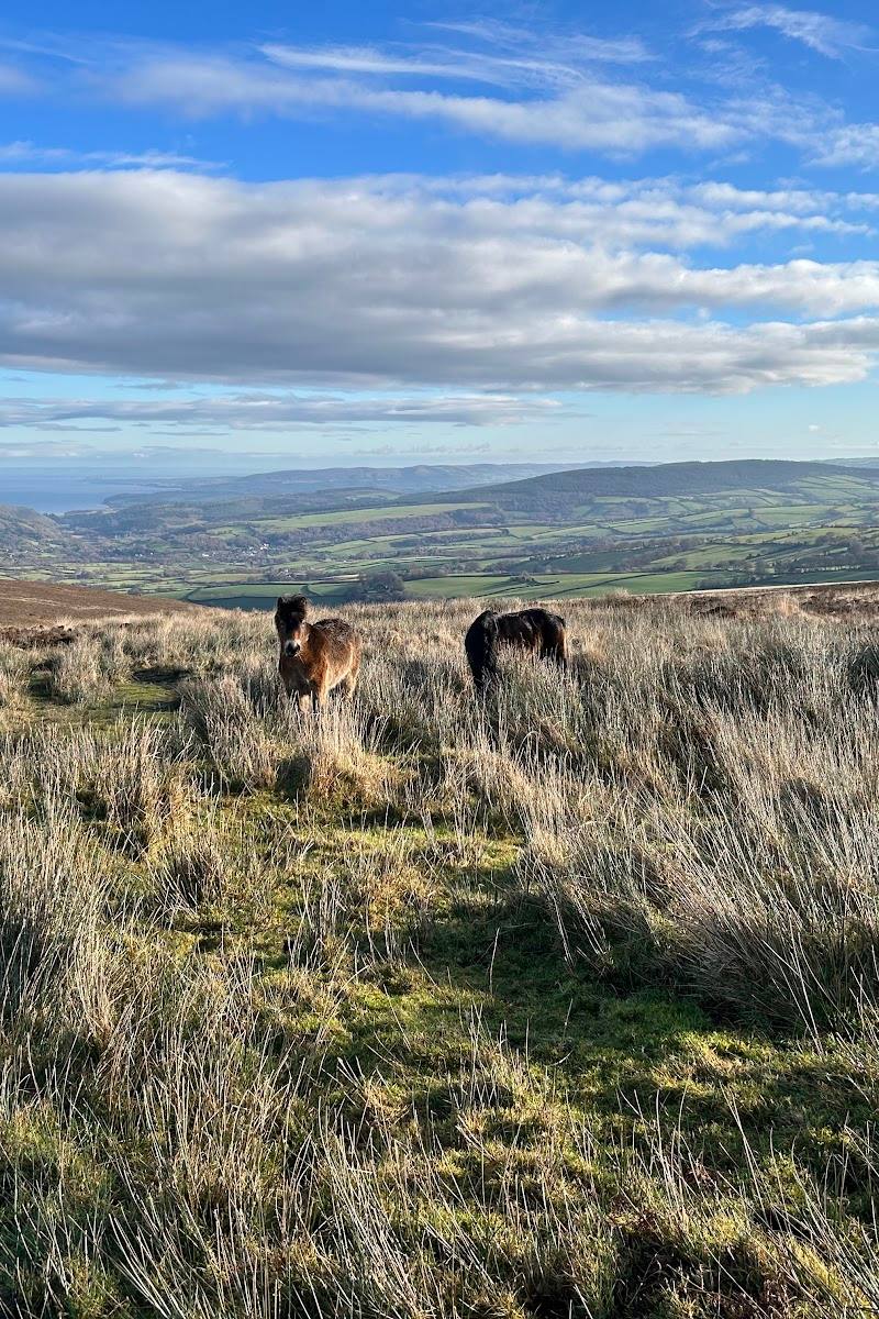 Dunkery Beacon