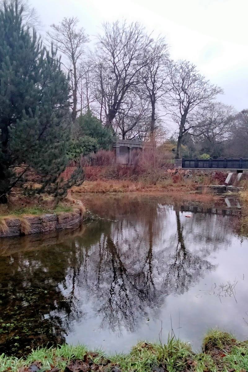 Duthie Park Wildlife Pond — Place photograph