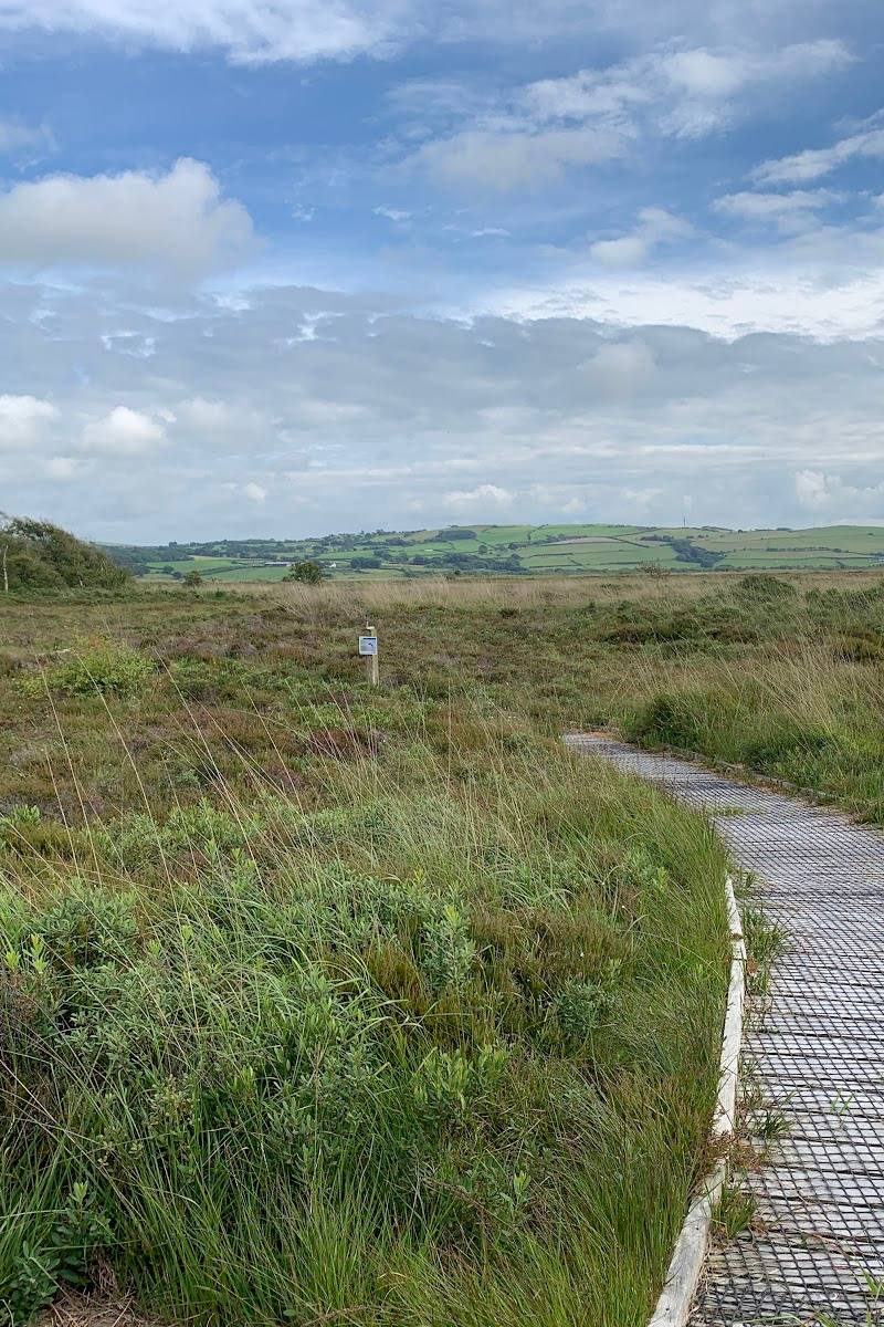 Dyfi National Nature Reserve – Cors Fochno — Place photograph (3 of 3)