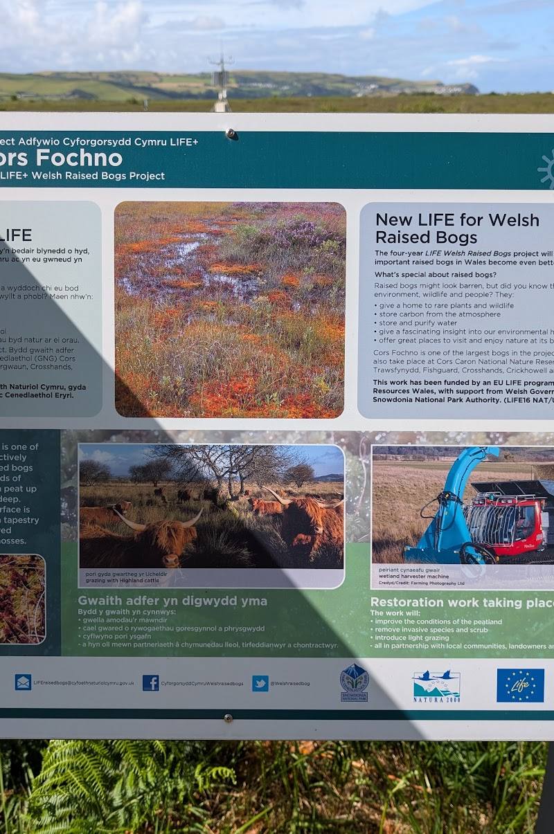 Dyfi National Nature Reserve – Cors Fochno — Place photograph (2 of 3)
