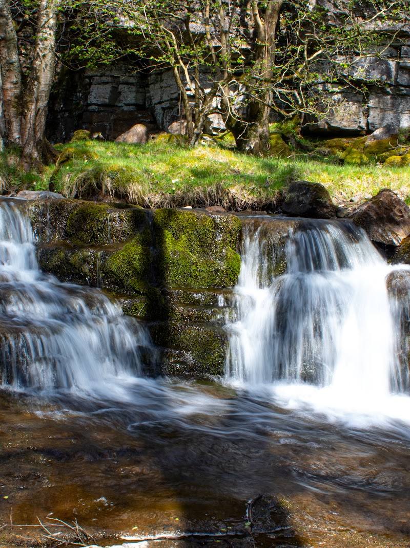 East Gill Force