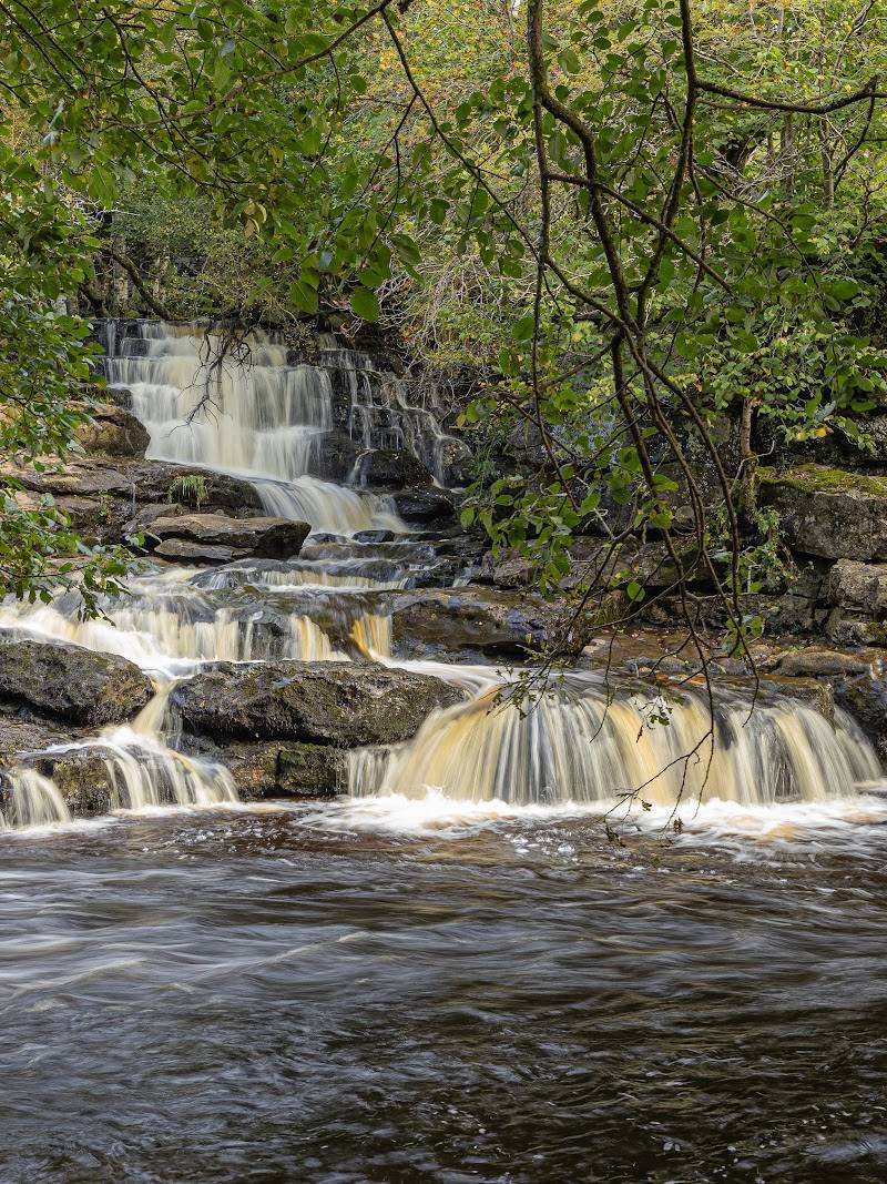 East Gill Force