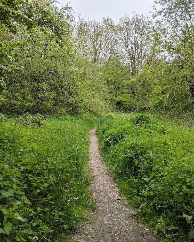Eastern Road Nature Reserve — Source image