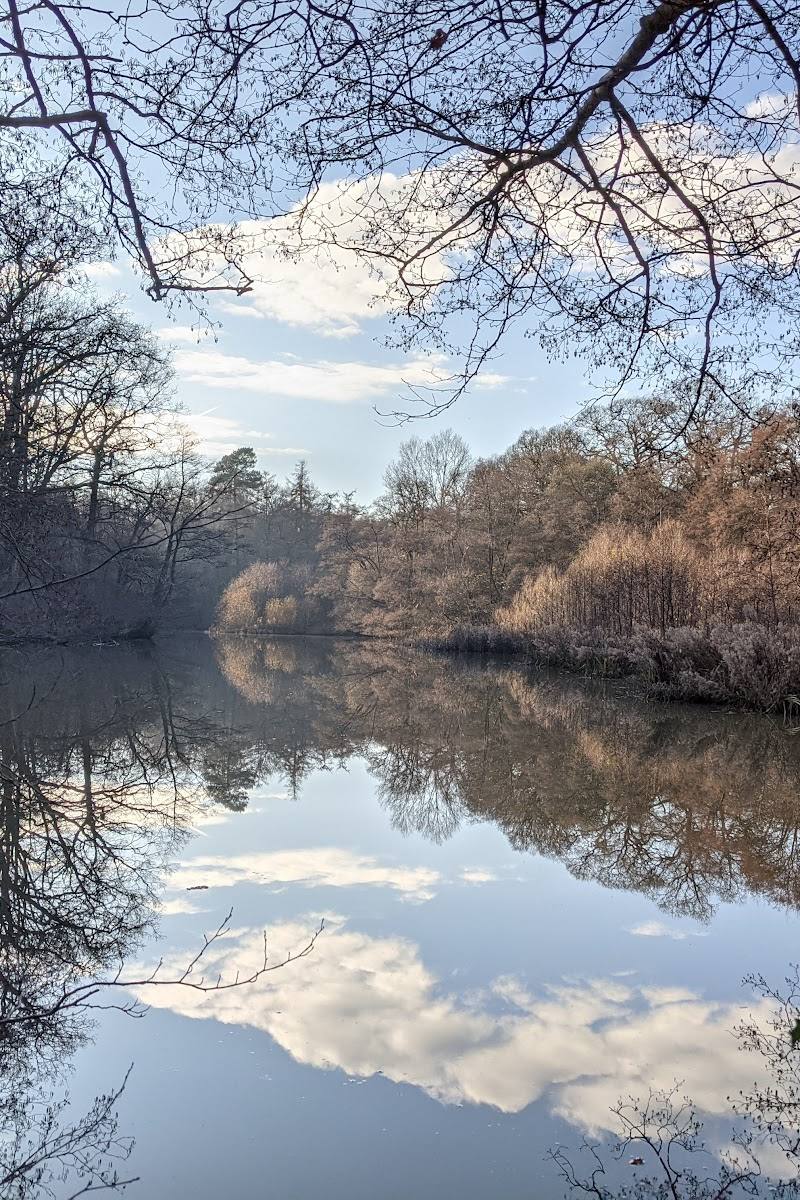 Ebernoe Common Nature Reserve, Sussex Wildlife trust