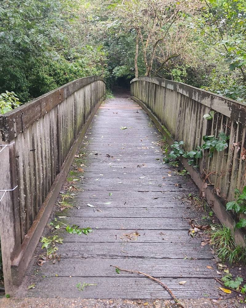 Elmbridge Meadows — Source image
