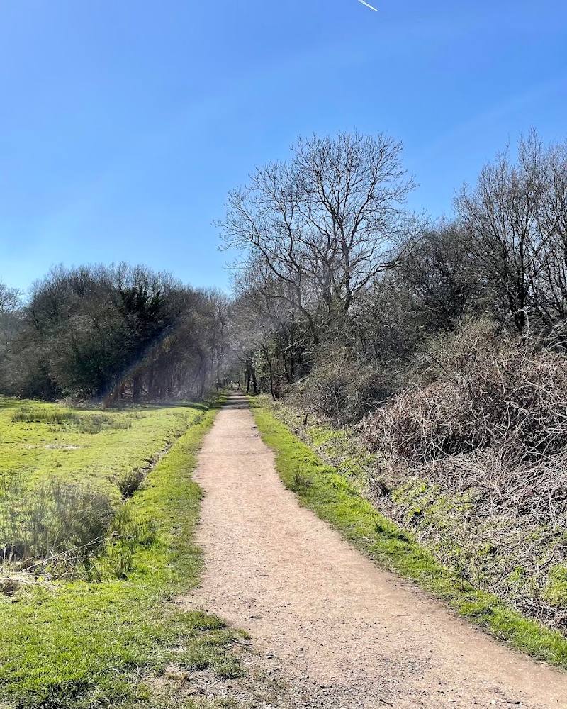 Epping Forest — Source image