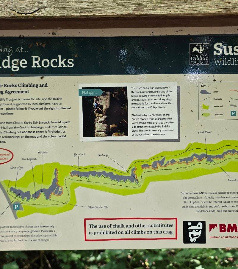 Eridge Rocks Nature Reserve - Sussex Wildlife Trust