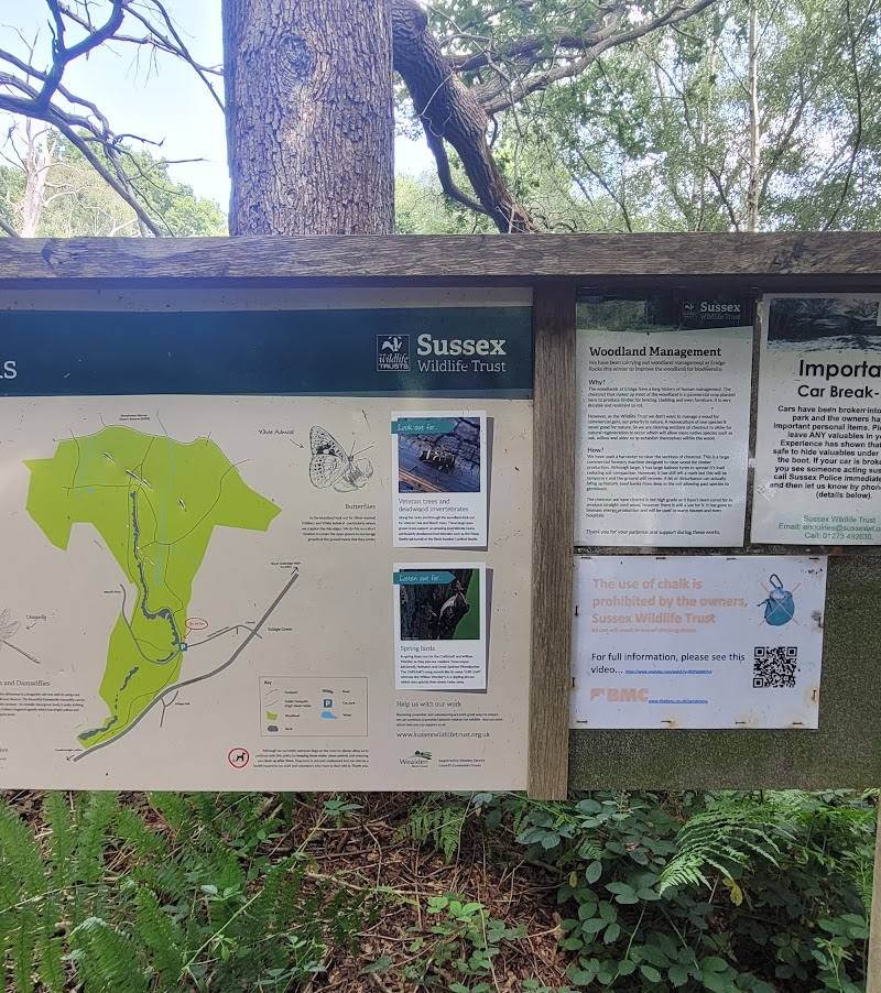 Eridge Rocks Nature Reserve - Sussex Wildlife Trust