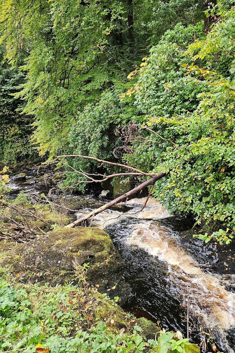 Ess-Na-Larach Waterfall — Place photograph (3 of 3)