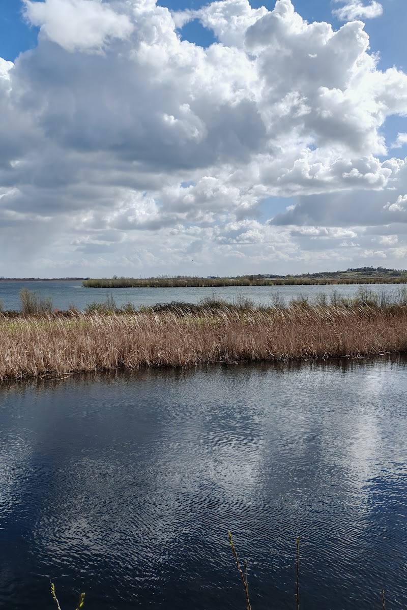 Essex Wildlife Trust Abberton Reservoir Nature Discovery Park