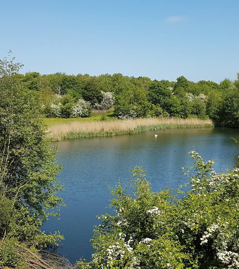 Essex Wildlife Trust Fingringhoe Wick Nature Discovery Park — Source image