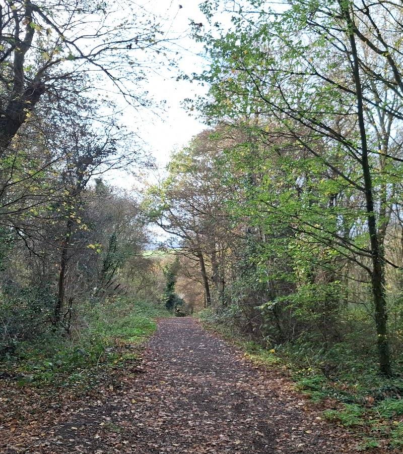 Essex Wildlife Trust Langdon Nature Discovery Centre