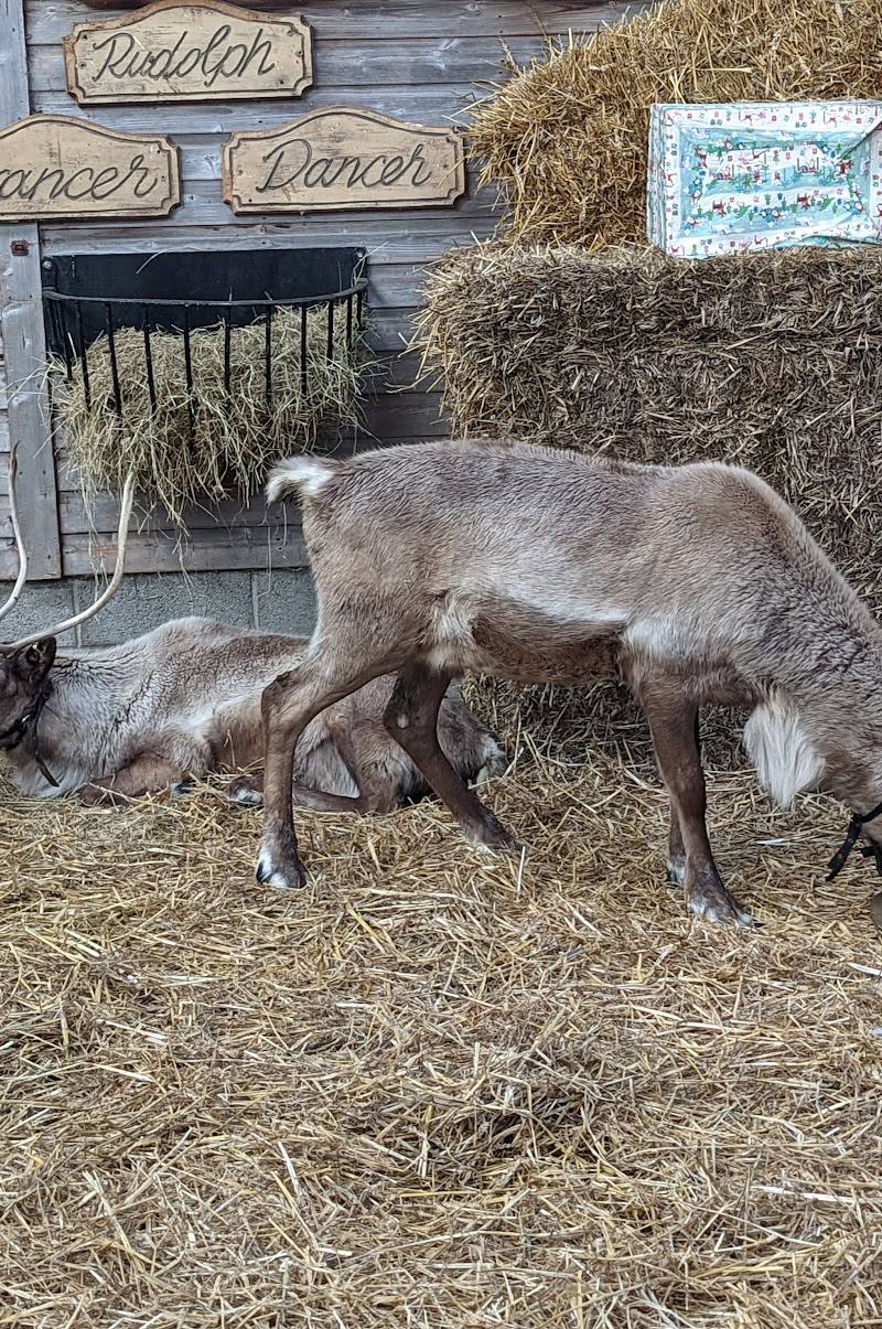 Farmer Ted’s Adventure Farm — Place photograph (3 of 3)