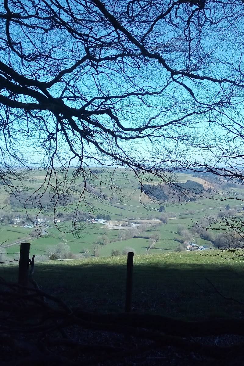 Fforest Glud / Radnor Forest — Place photograph