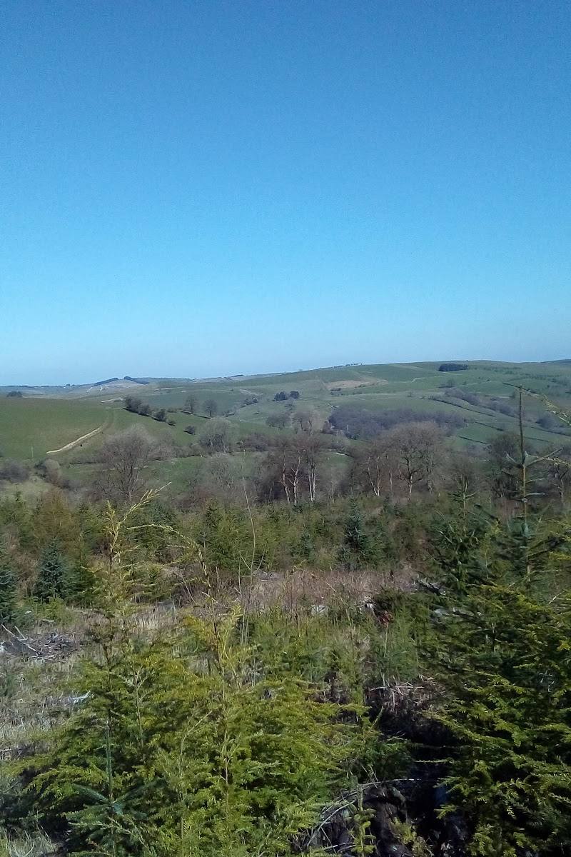 Fforest Glud / Radnor Forest