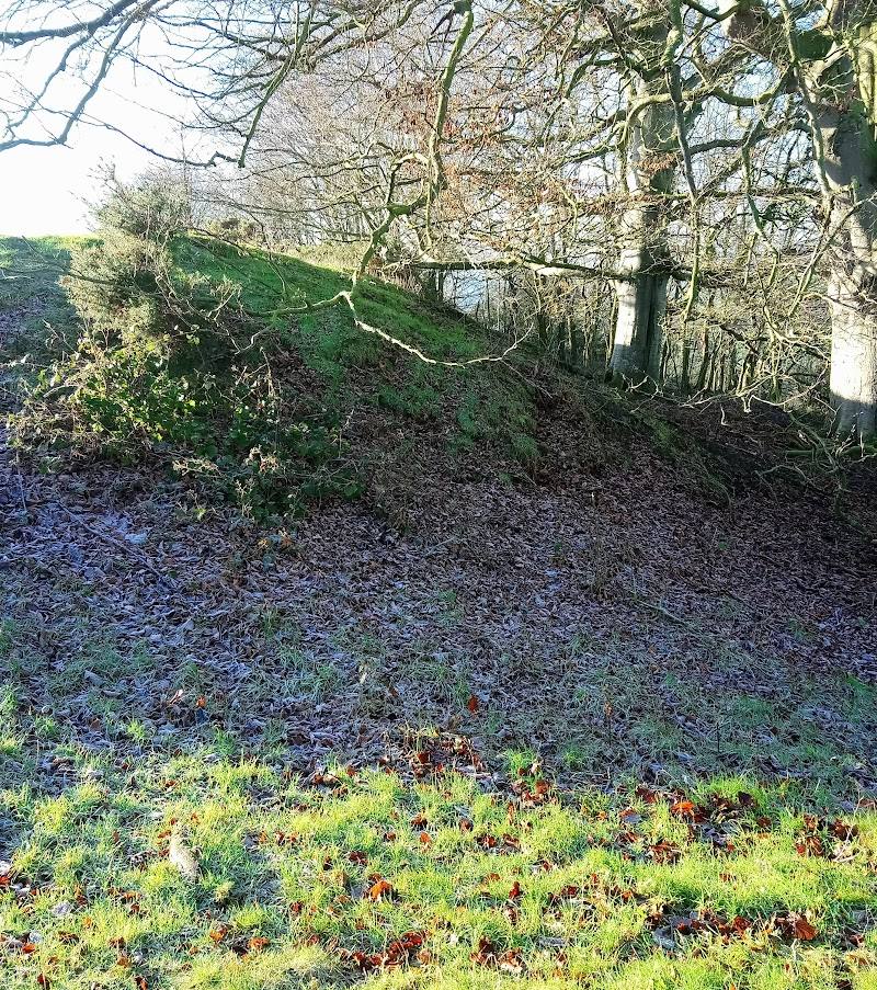 Ffridd Faldwyn Iron Age Hillfort